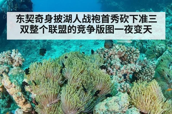 东契奇身披湖人战袍首秀砍下准三双整个联盟的竞争版图一夜变天